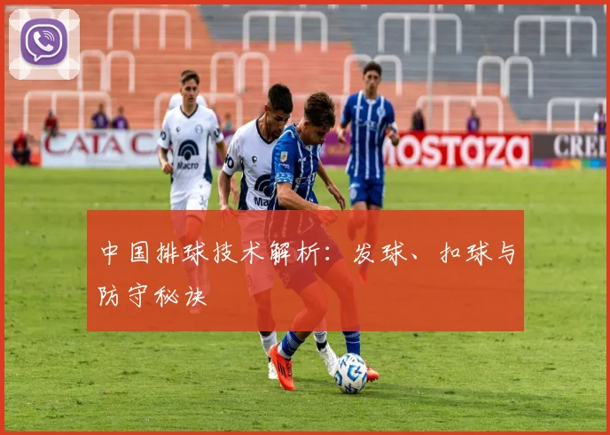 中国排球技术解析：发球、扣球与防守秘诀